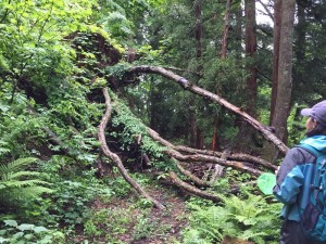 苗名滝探検隊～信濃路自然歩道を歩こう～8